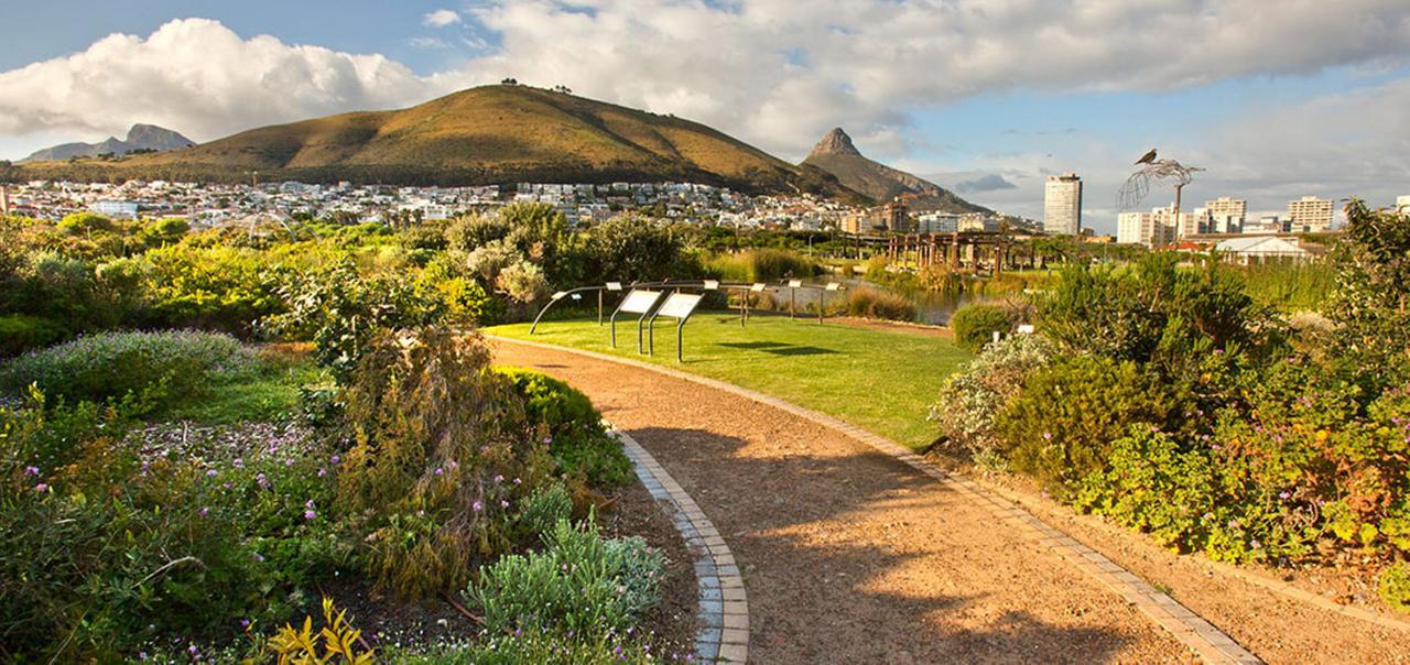 Planet Africa 1 By Ctha Leilighet Cape Town Eksteriør bilde